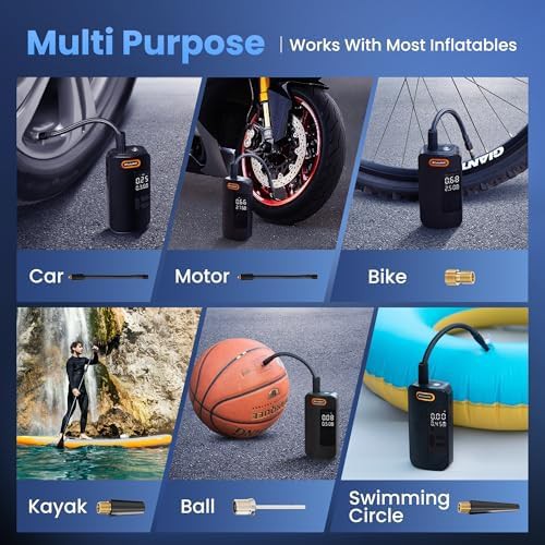 Digital dual value truck and car pump — photo 4