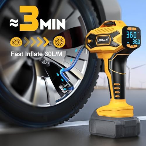 LIVOWALNY Dewalt bigger LCD digital inflator — photo 3